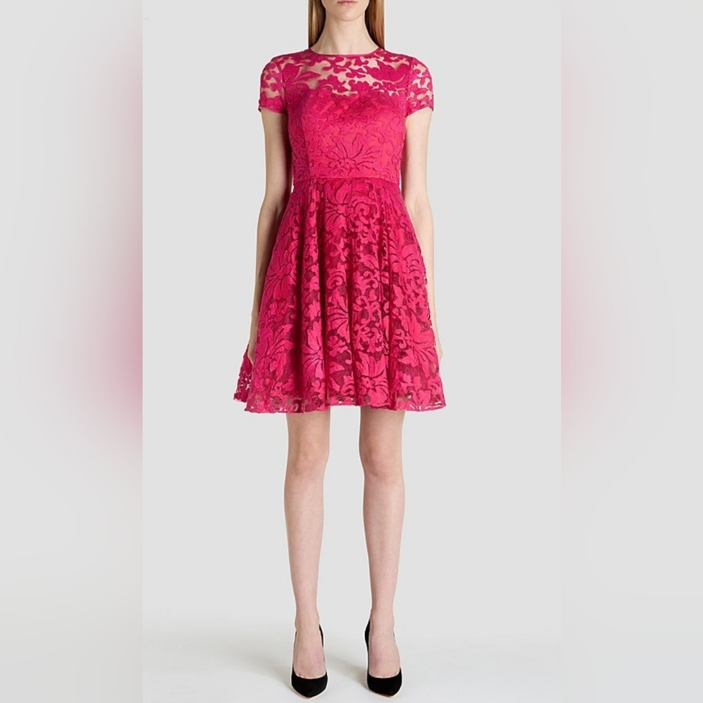 Ted Baker lace fit and flare dress Nwt TB size 0 or size 2